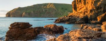 Bethells Beach的带停车场的酒店