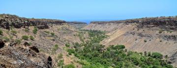 Ribeira Grande的度假短租房