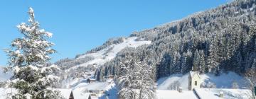 Kelchsau的滑雪度假村