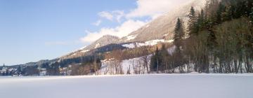 Sankt Johann am Tauern的滑雪度假村