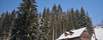 Dolni Dvur的滑雪度假村