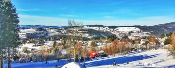 贝内茨科的滑雪度假村