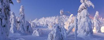 Jokijärvi的带停车场的酒店