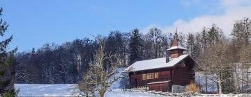 Brienzwiler的滑雪度假村