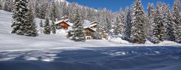 Pany的滑雪度假村