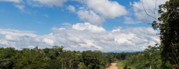 Tambopata的酒店