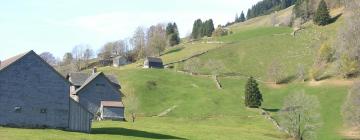 Alt Sankt Johann的滑雪度假村