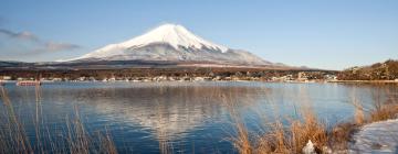 山中湖村的乡村别墅