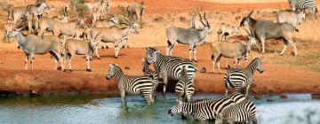 Tsavo West National Park的住宿加早餐旅馆