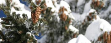 霍尔兆的滑雪度假村