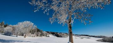 圣尼克劳斯的滑雪度假村