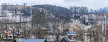 Zlatá Olešnice的滑雪度假村