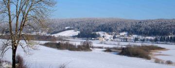 Grande Riviere的滑雪度假村