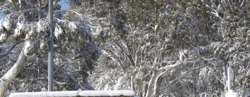 丁诺高原的滑雪度假村