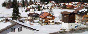 苏尔茨贝格的滑雪度假村