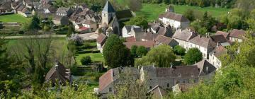 Druyes-les-Belles-Fontaines的Cheap Hotels