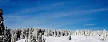 Resnik的滑雪度假村