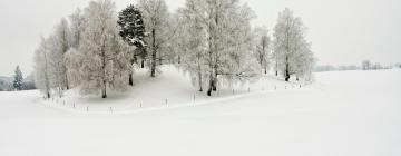 奥耶的滑雪度假村