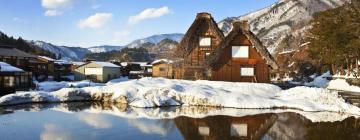 白川村的住宿加早餐旅馆