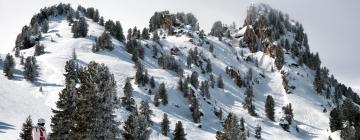 Grün的滑雪度假村