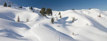 艾姆的滑雪度假村