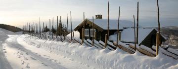 Fåberg的滑雪度假村