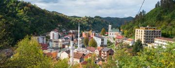 Srebrenica的低价酒店