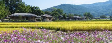 牙山市的酒店