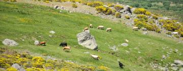 Higuera de las Dueñas的自助式住宿