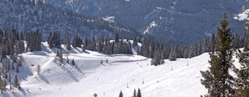 阿尔班多夫的滑雪度假村