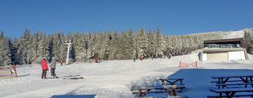 霍尔马拉帕的滑雪度假村