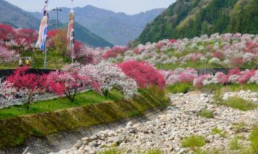 阿智村的日式旅馆