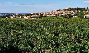 Châteauneuf的度假短租房