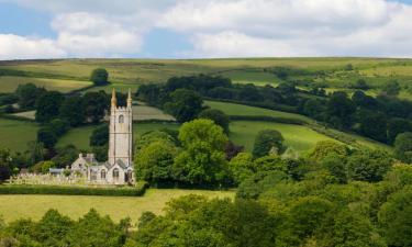 Widecombe in the Moor的家庭/亲子酒店