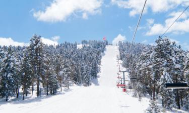 Sarıkamıs的滑雪度假村