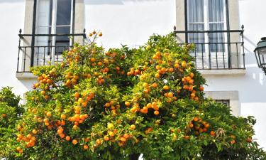 楼尔的住宿加早餐旅馆