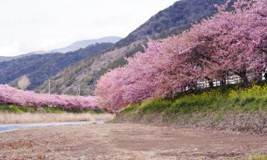 河津町的温泉住宿