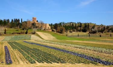 San Giovanni a Corazzano 的宠物友好酒店