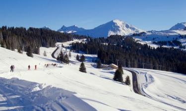 莫尔济讷的滑雪度假村