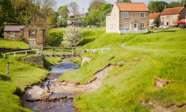 Hutton le Hole的带停车场的酒店