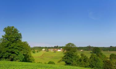 Saint-Hilaire-les-Places的乡村别墅