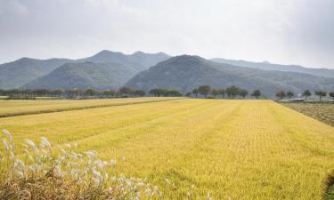 利川市的酒店