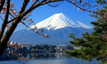 富士河口湖的青旅