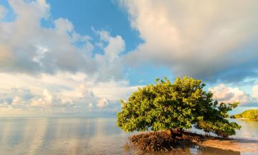 Lower Matecumbe Beach的别墅