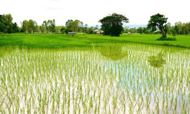 Ban Phang Khwang Tai的家庭/亲子酒店