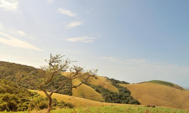 希尔克雷斯特的住宿加早餐旅馆