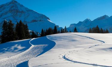 Lauenen的滑雪度假村