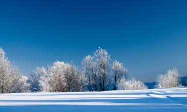 Łopuszna的滑雪度假村