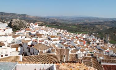 Alcalá del Valle的度假短租房