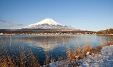 山中湖村的公寓